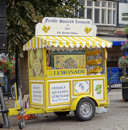 My Daily Choice Forex Trading